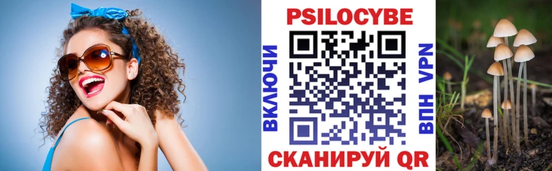 Галлюциногенные грибы Psilocybine cubensis  ОМГ ОМГ ТОР  Павловская 