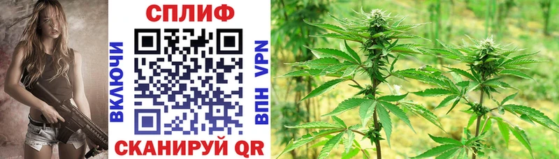 Конопля OG Kush  сколько стоит  Павловская 